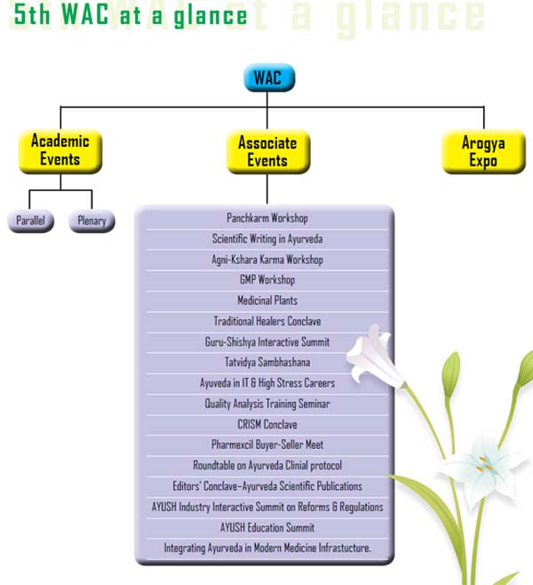 5th WAC at a glance