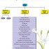 5th WAC at a glance